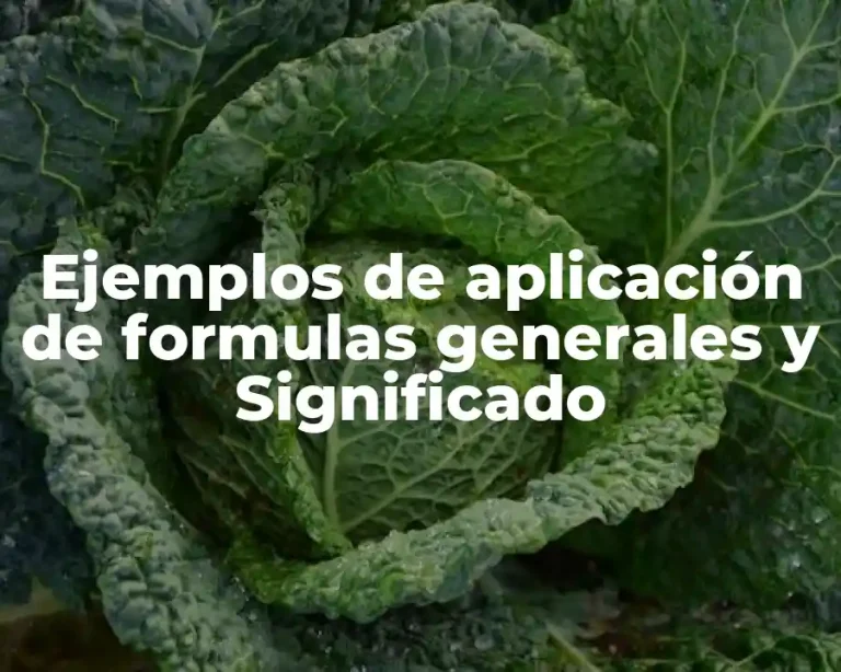 Ejemplos de aplicación de formulas generales y Significado