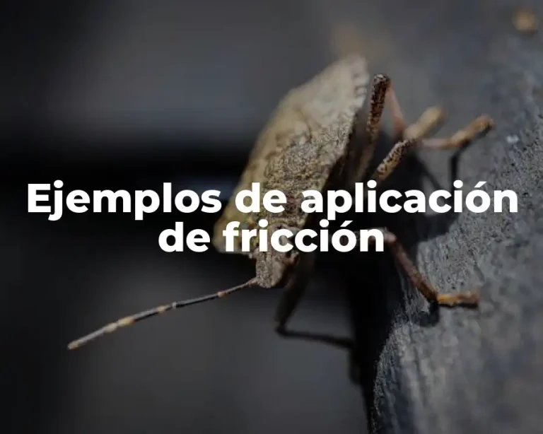 Ejemplos de aplicación de fricción