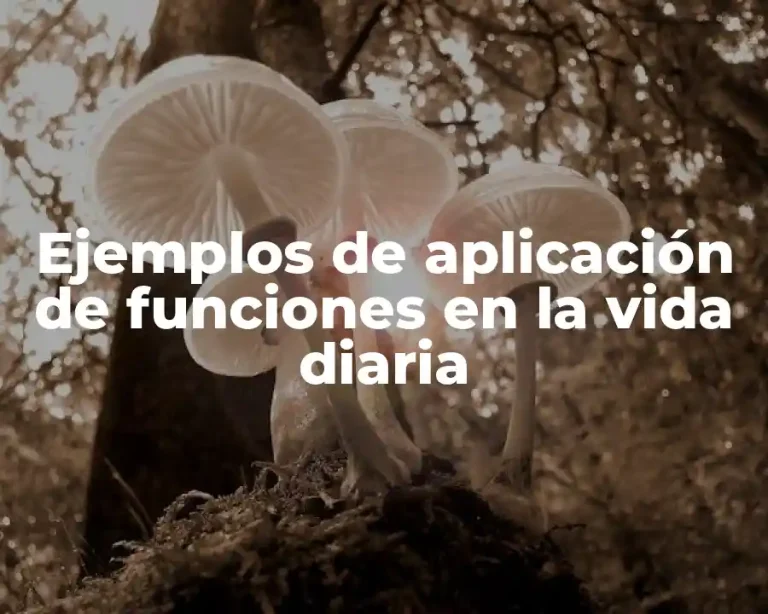 Ejemplos de aplicación de funciones en la vida diaria