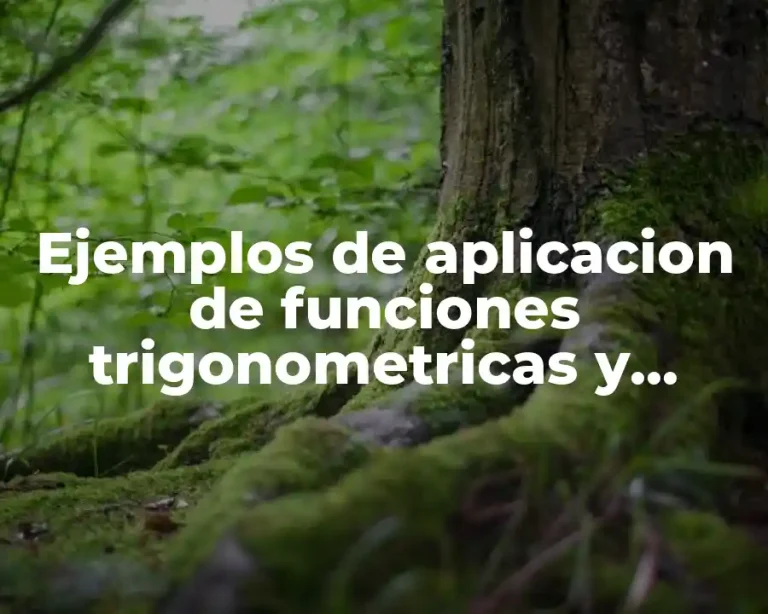 Ejemplos de aplicacion de funciones trigonometricas y Significado