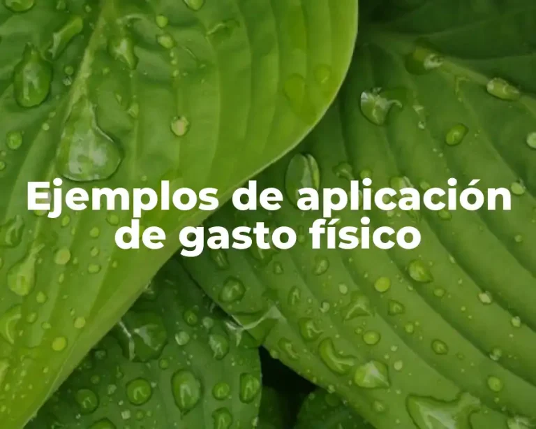 Ejemplos de aplicación de gasto físico