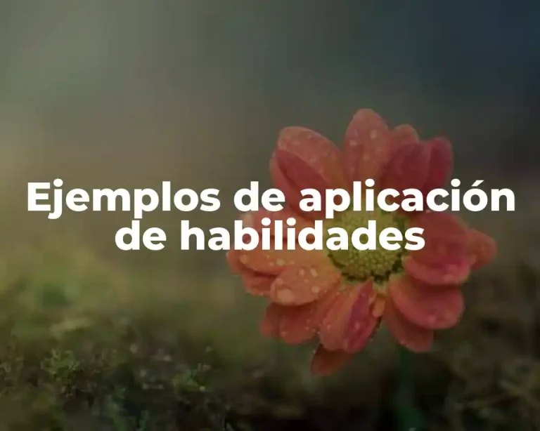 Ejemplos de aplicación de habilidades