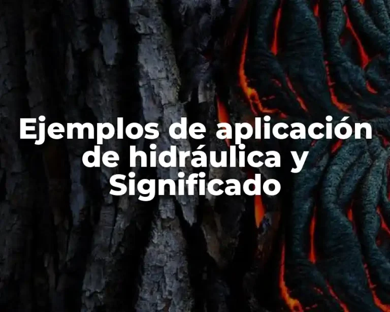 Ejemplos de aplicación de hidráulica y Significado