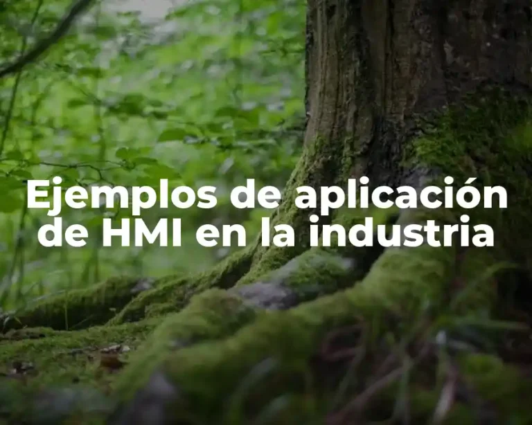 Ejemplos de aplicación de HMI en la industria