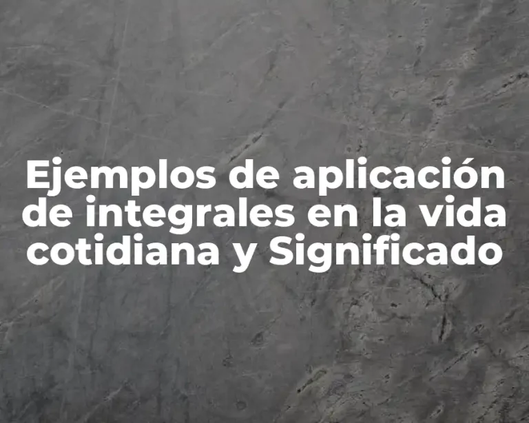 Ejemplos de aplicación de integrales en la vida cotidiana y Significado