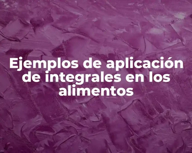 Ejemplos de aplicación de integrales en los alimentos