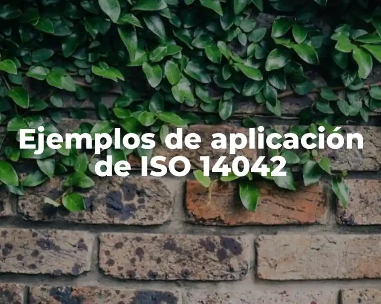Ejemplos de aplicación de ISO 14042