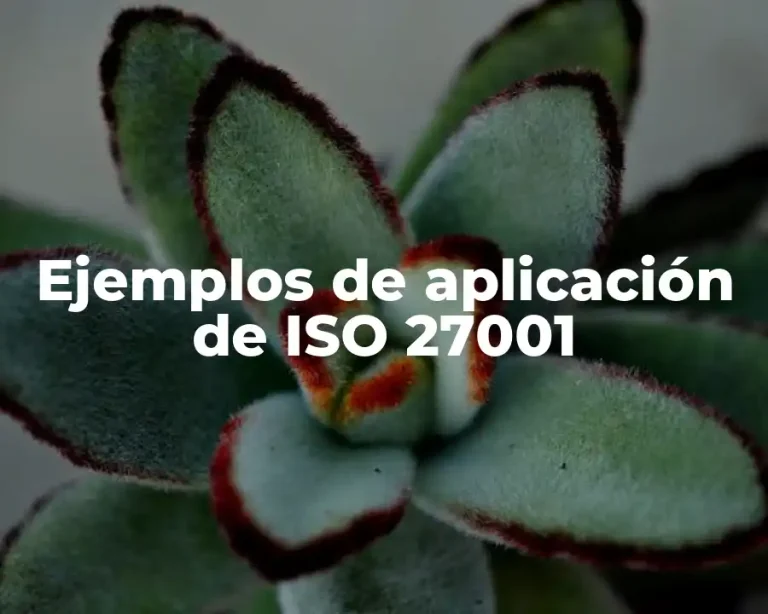 Ejemplos de aplicación de ISO 27001