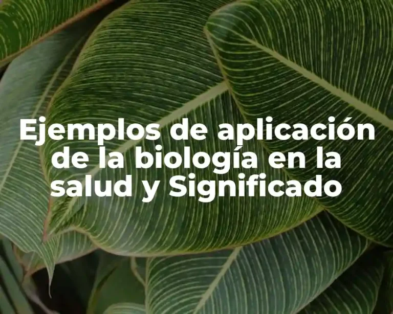 Ejemplos de aplicación de la biología en la salud y Significado