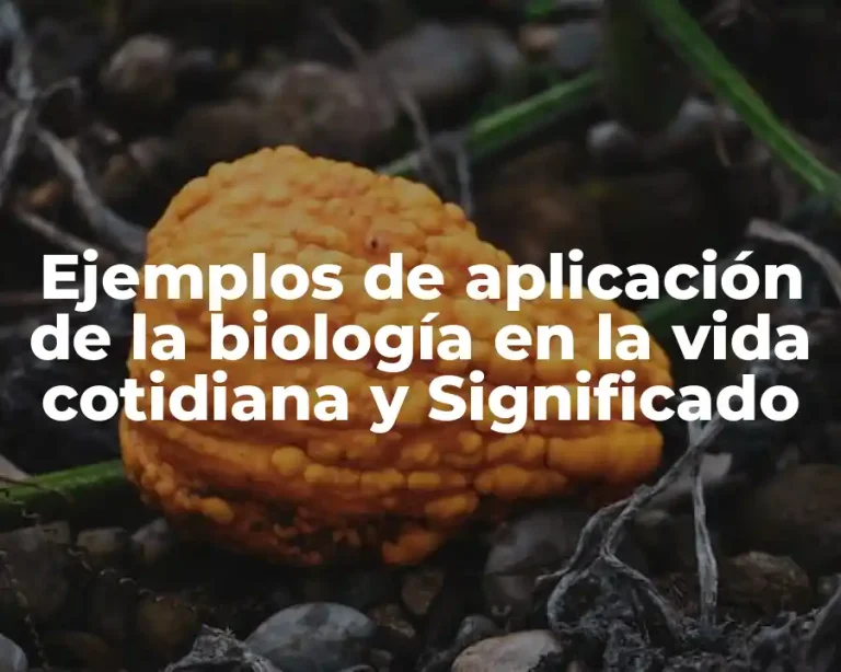 Ejemplos de aplicación de la biología en la vida cotidiana y Significado