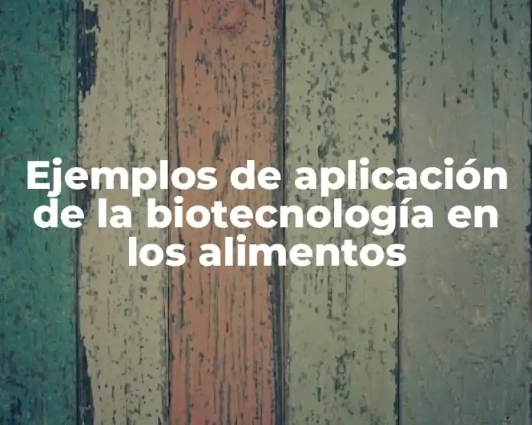 Ejemplos de aplicación de la biotecnología en los alimentos