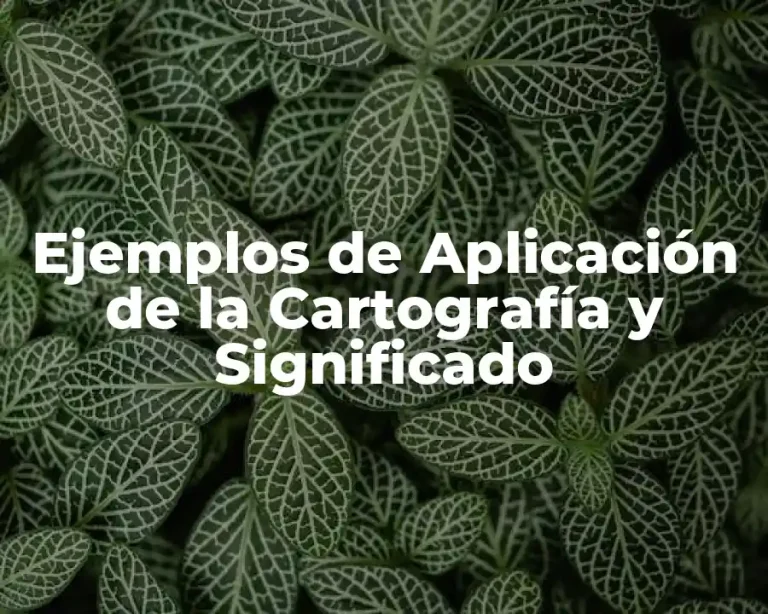 Ejemplos de Aplicación de la Cartografía y Significado