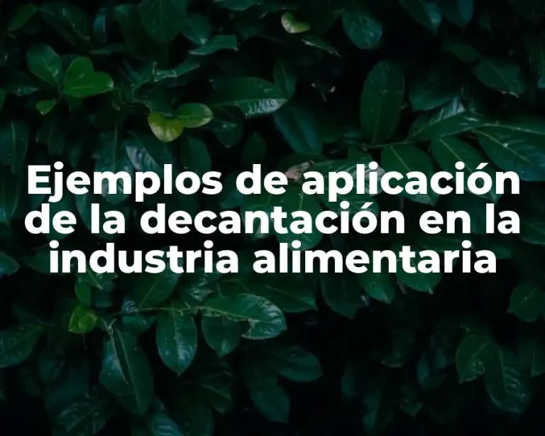 Ejemplos de aplicación de la decantación en la industria alimentaria