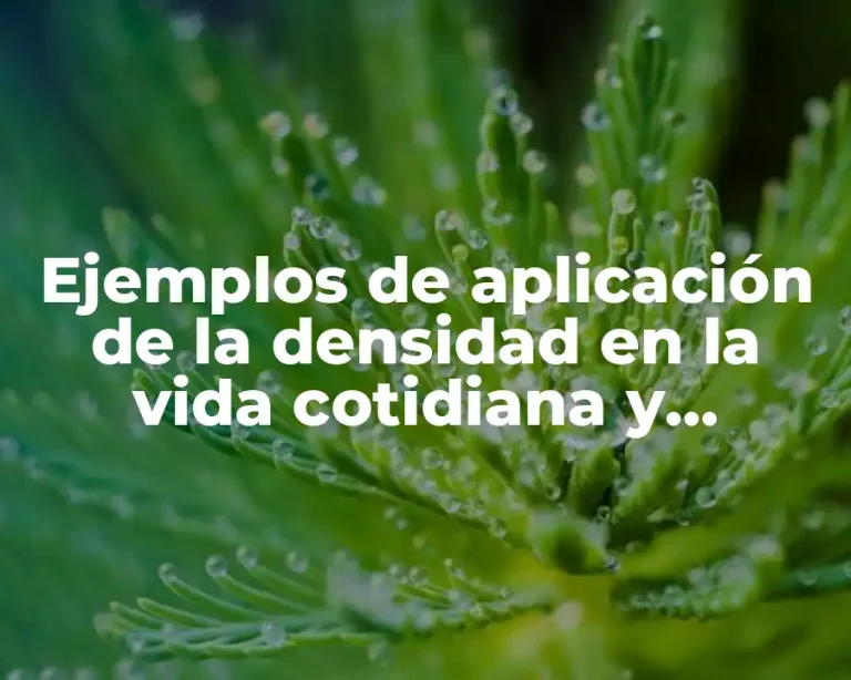 Ejemplos de aplicación de la densidad en la vida cotidiana y Significado