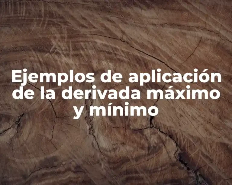 Ejemplos de aplicación de la derivada máximo y mínimo