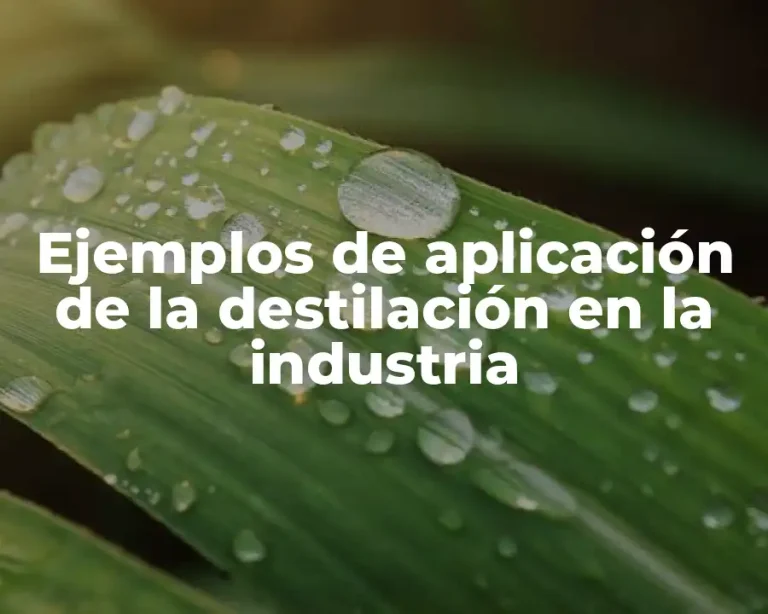 Ejemplos de aplicación de la destilación en la industria
