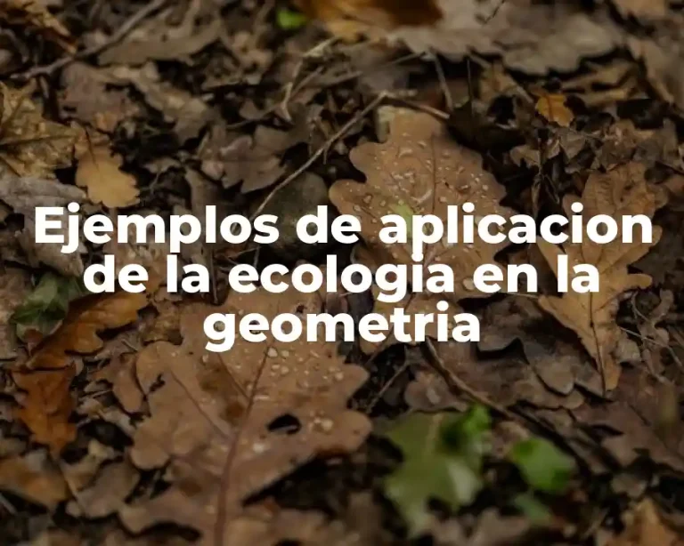 Ejemplos de aplicacion de la ecologia en la geometria