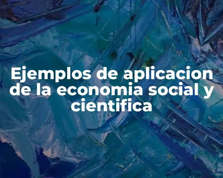 Ejemplos de aplicacion de la economia social y cientifica
