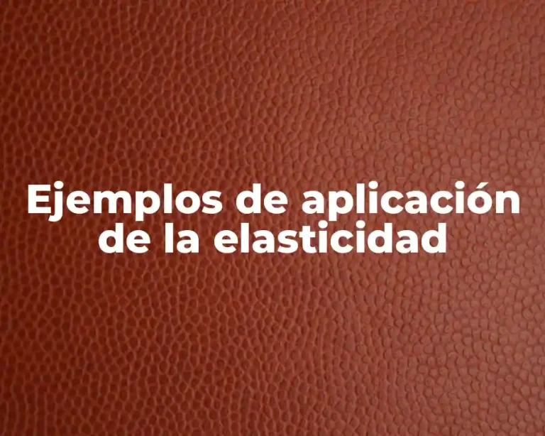 Ejemplos de aplicación de la elasticidad