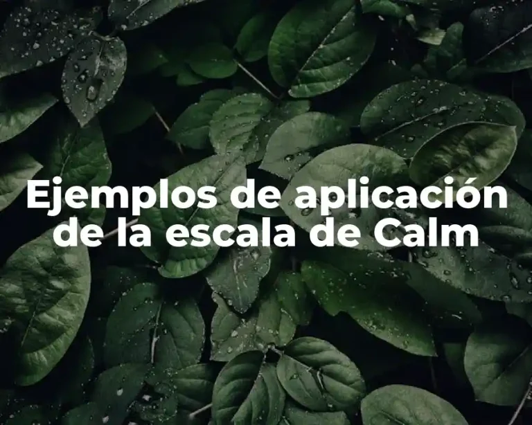 Ejemplos de aplicación de la escala de Calm