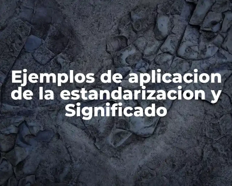 Ejemplos de aplicacion de la estandarizacion y Significado