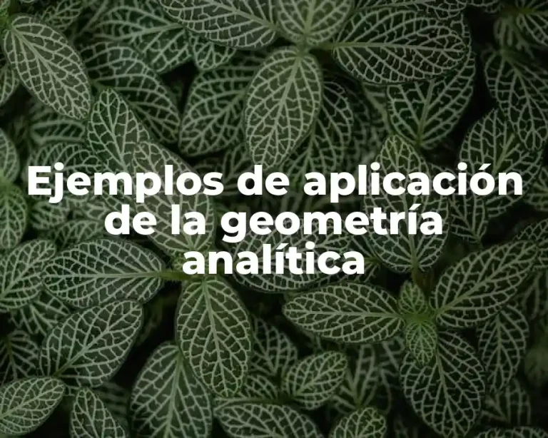 Ejemplos de aplicación de la geometría analítica