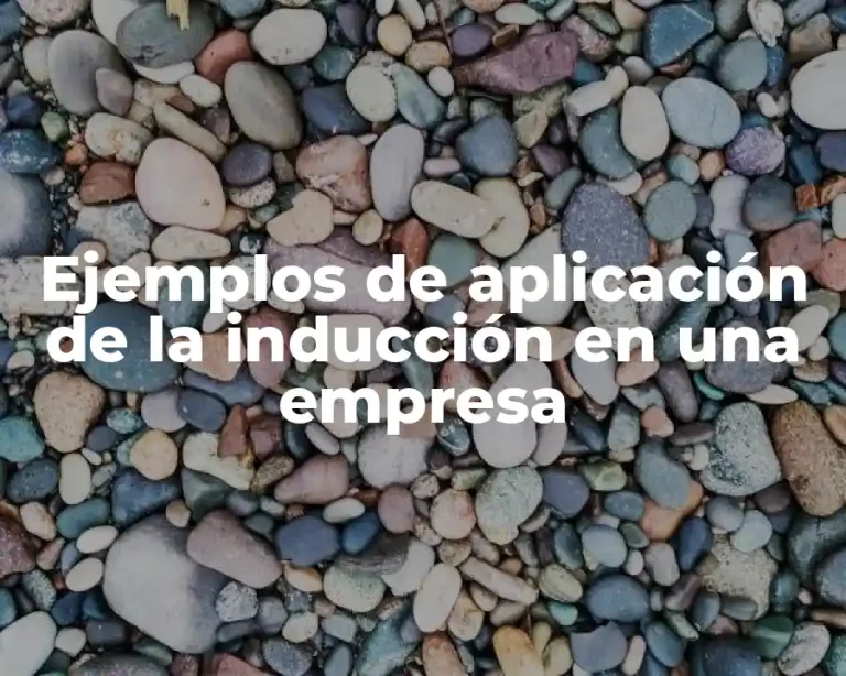 Ejemplos de aplicación de la inducción en una empresa