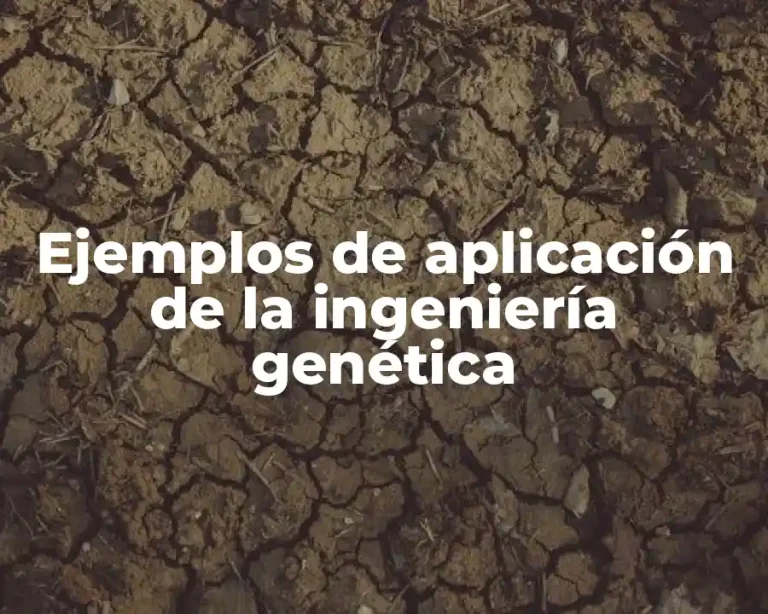 Ejemplos de aplicación de la ingeniería genética
