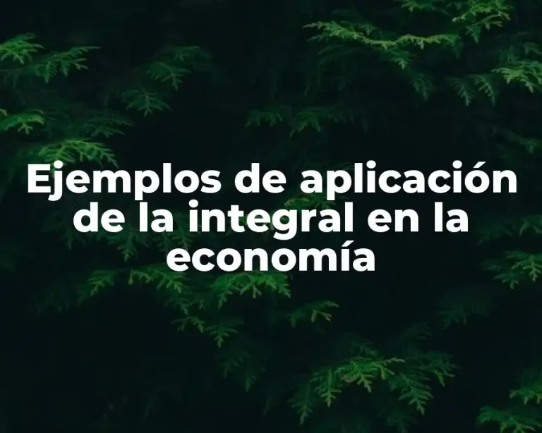 Ejemplos de aplicación de la integral en la economía