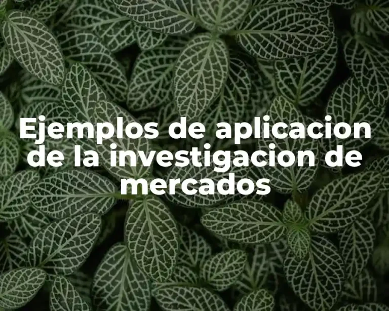 Ejemplos de aplicacion de la investigacion de mercados