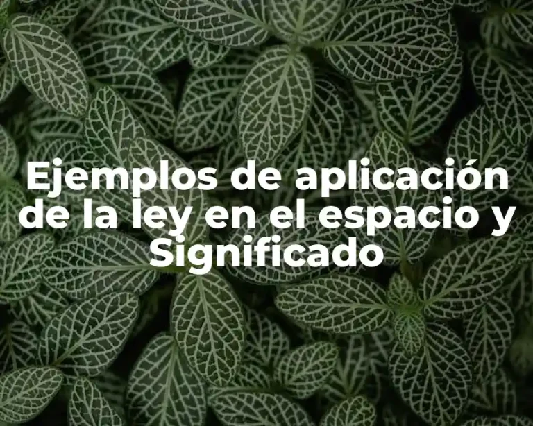 Ejemplos de aplicación de la ley en el espacio y Significado