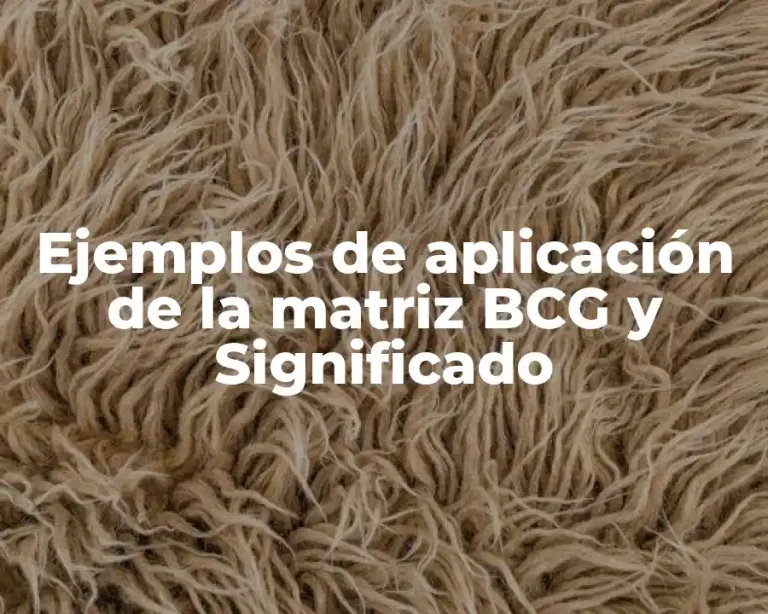 Ejemplos de aplicación de la matriz BCG y Significado