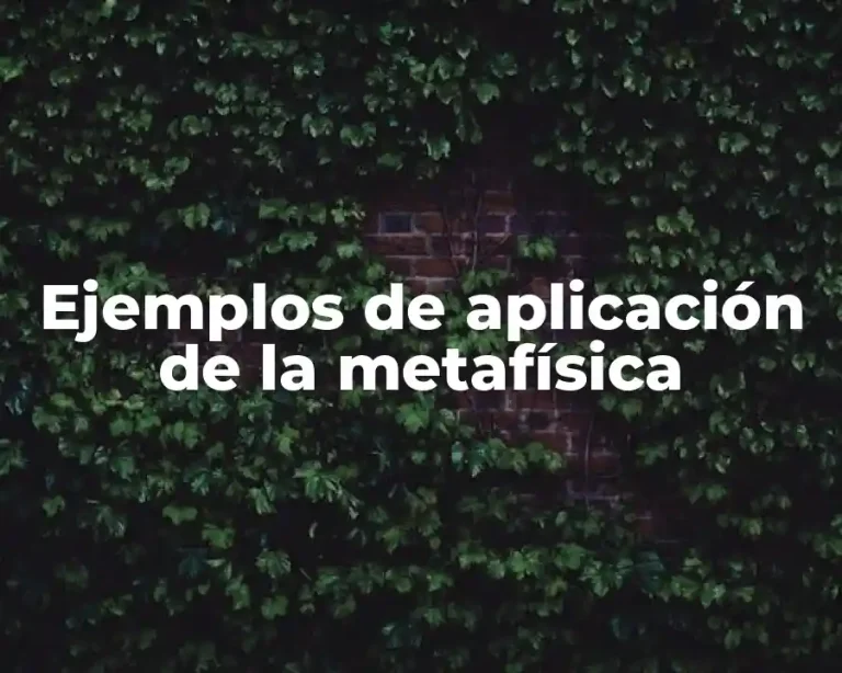 Ejemplos de aplicación de la metafísica