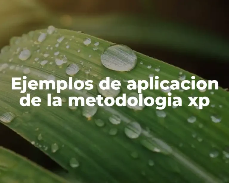 Ejemplos de aplicacion de la metodologia xp