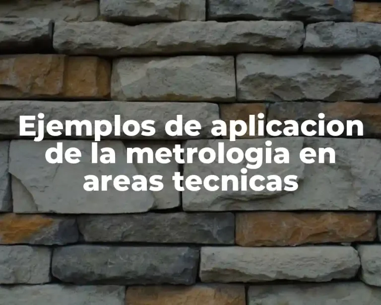 Ejemplos de aplicacion de la metrologia en areas tecnicas