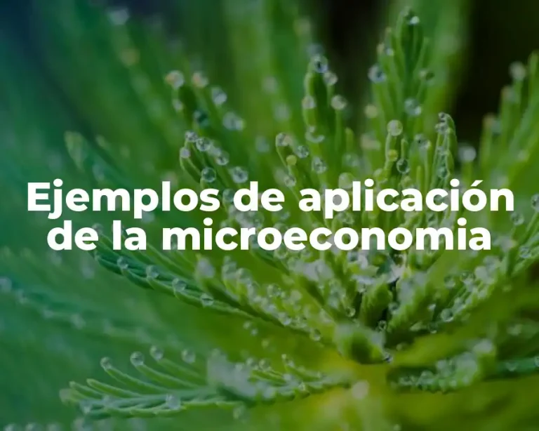 Ejemplos de aplicación de la microeconomia