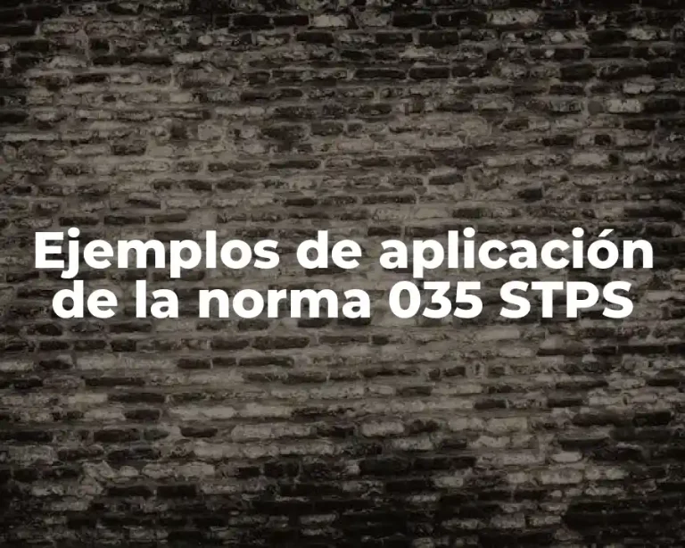 Ejemplos de aplicación de la norma 035 STPS