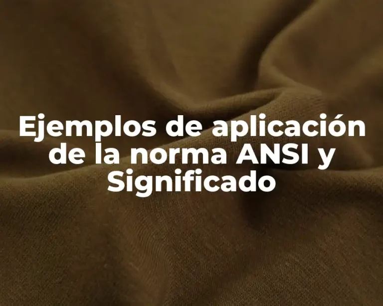 Ejemplos de aplicación de la norma ANSI y Significado