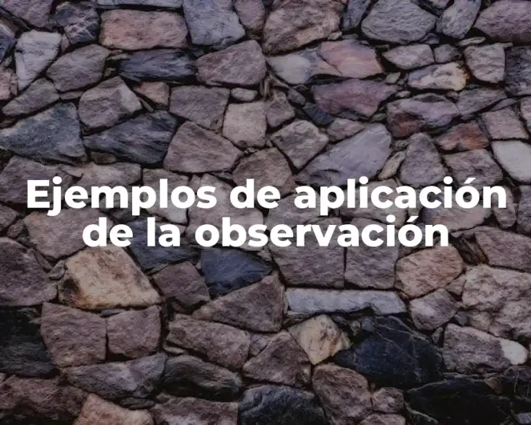 Ejemplos de aplicación de la observación