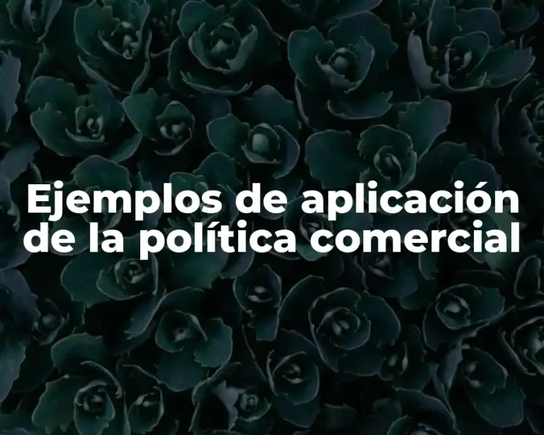 Ejemplos de aplicación de la política comercial
