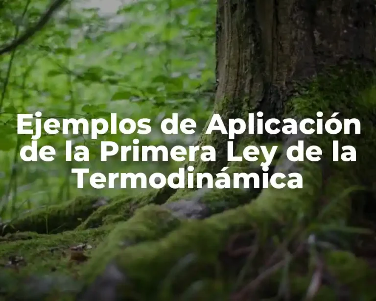Ejemplos de Aplicación de la Primera Ley de la Termodinámica