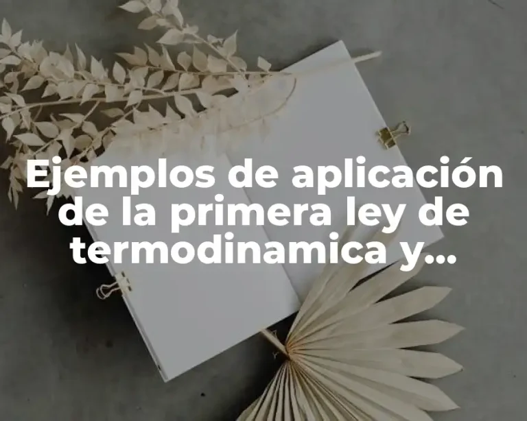 Ejemplos de aplicación de la primera ley de termodinamica y Significado