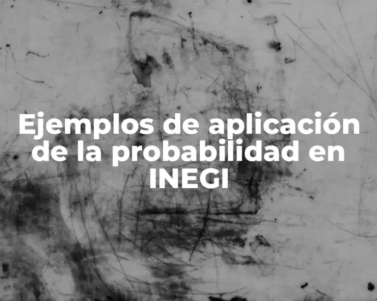 Ejemplos de aplicación de la probabilidad en INEGI