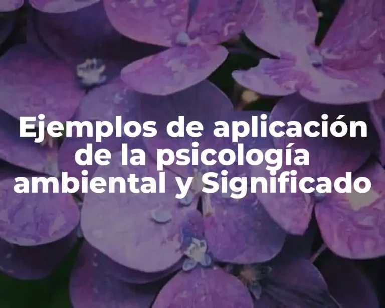 Ejemplos de aplicación de la psicología ambiental y Significado