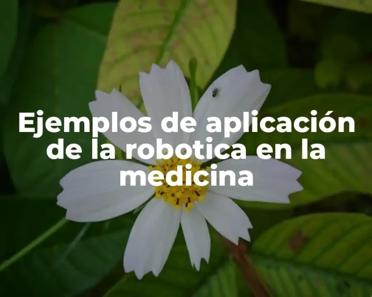 Ejemplos de aplicación de la robotica en la medicina