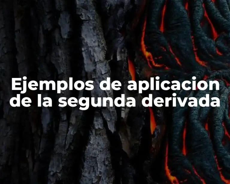 Ejemplos de aplicacion de la segunda derivada