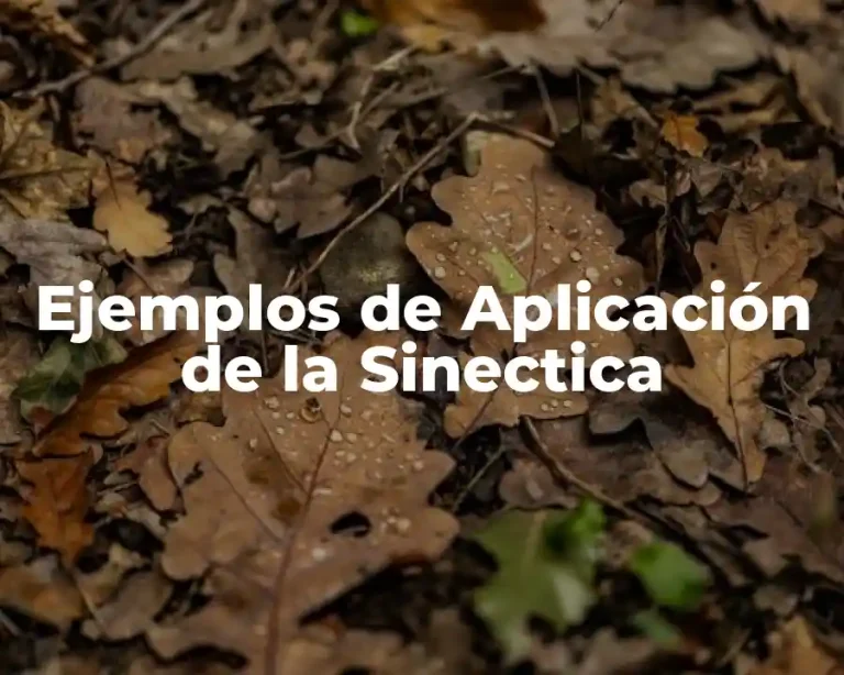 Ejemplos de Aplicación de la Sinectica