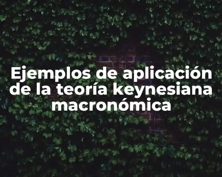 Ejemplos de aplicación de la teoría keynesiana macronómica