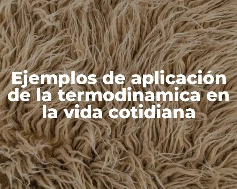 Ejemplos de aplicación de la termodinamica en la vida cotidiana
