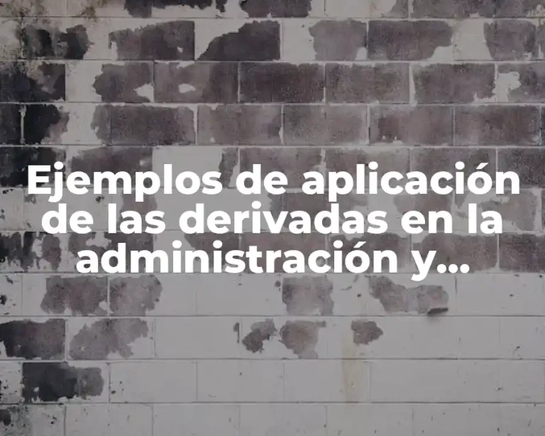 Ejemplos de aplicación de las derivadas en la administración y Significado